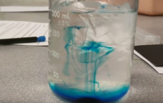 scientific method experiment sheet and rubric resource