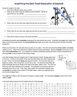 Unearthing the Past: Fossil Fascination Unleashed Image