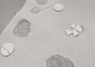 Physical Weathering Surface Area Lab