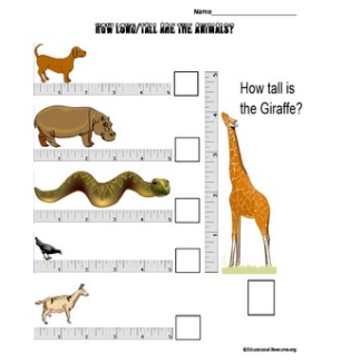 Measure the length or the height of the animals