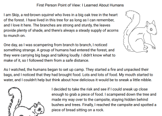 Three Stories about Skip the Squirrel in First Person, Second Person, and Third Person