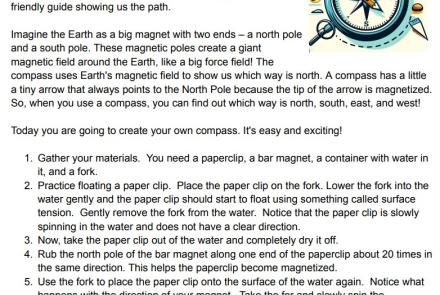 earth magnetic field reading passage and experiment