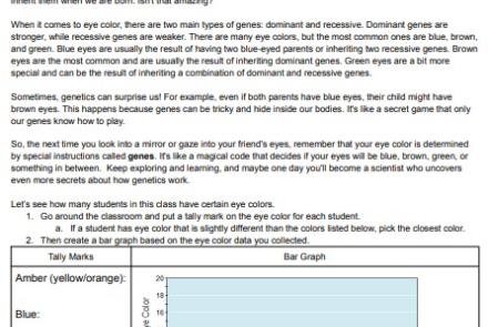 Eye Color Genetics Reading Passage and Experiment Worksheet