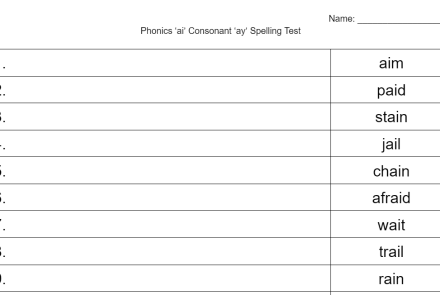 Phonics 'ai' Consonant or 'ay' Consonant Spelling Test