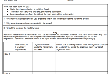 Pond Water Lab Worksheet Image