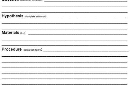 Scientific Method Lab Sheet Google doc image