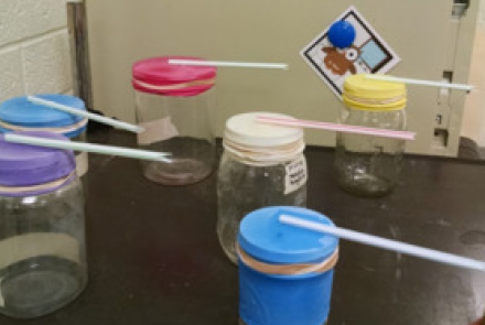 Understanding How a Barometer Works with High and Low Pressure Systems