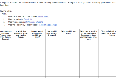 Earth Science Fossil Identification Lab: Editable Google Doc