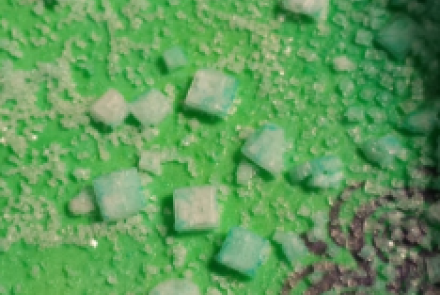 Earth Science Salt Crystal Formation Lab