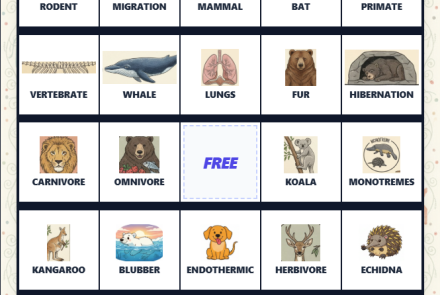 mammal characteristics bingo