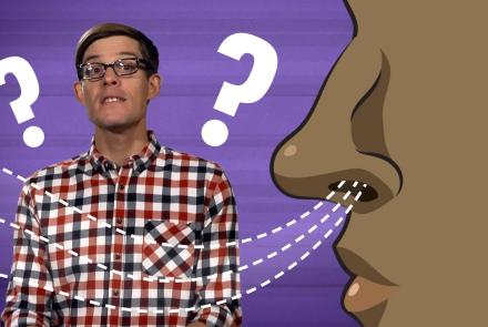 Embedded thumbnail for How many smells can we smell? Video