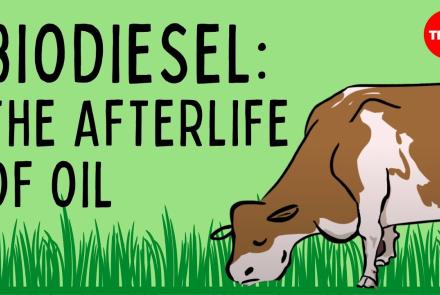 Embedded thumbnail for Bio-diesel Video