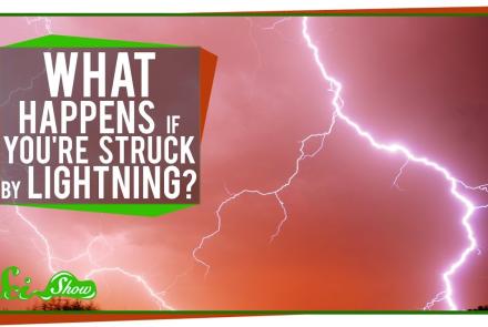 Embedded thumbnail for Being hit by lightning? Video