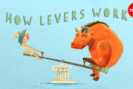 Embedded thumbnail for Mathematics of the Lever Video