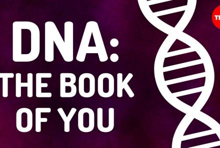 Embedded thumbnail for An Intro to DNA Video by TedEd.