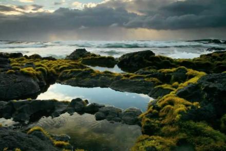 Embedded thumbnail for An Introduction to Biomes Video