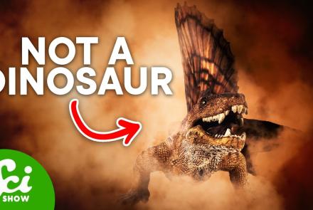 Embedded thumbnail for Dinosaurs that aren't Dinosaurs Videos