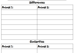 comparing and contrasting animals
