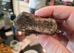 rock observation lab image and worksheet