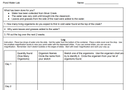 Pond Water Lab Worksheet Image