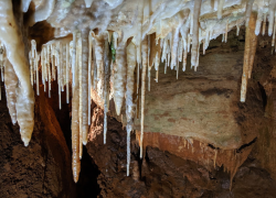 Cave Formations and Information Investigation worksheet