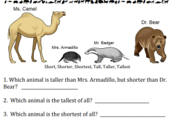 Comparing Animal Heights