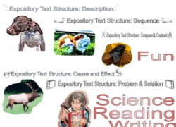 Expository Text Structures or Types