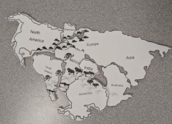Understanding Continental Drift and Pangaea