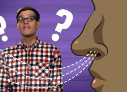 Embedded thumbnail for How many smells can we smell? Video