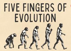 Embedded thumbnail for The 5 Parts of Evolution. Video