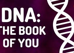 Embedded thumbnail for An Intro to DNA Video by TedEd.