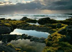 Embedded thumbnail for An Introduction to Biomes Video